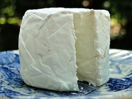 Cheese